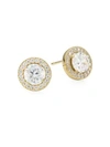 ADRIANA ORSINI 18K Goldplated Sterling Silver & Framed Round Cubic Zirconia Stud Earrings