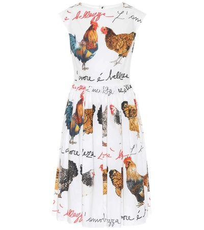 Dolce & Gabbana Hen-printed Cotton Poplin Dress In Multicoloured