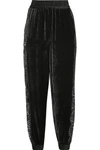 STELLA MCCARTNEY LACE-TRIMMED VELVET TRACK trousers