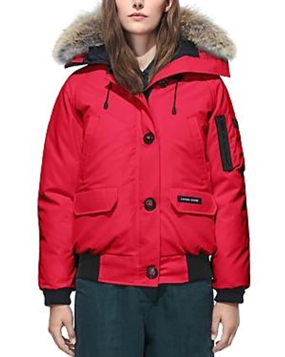 Canada Goose Chilliwack Down Bomber Jacket W/ Fur Hood In Red