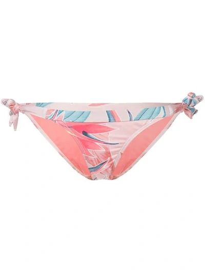 Duskii Byron Paradiso Bikini Bottom In Pink