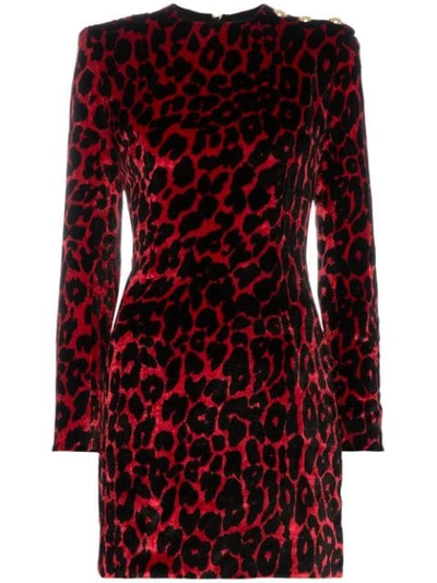 Balmain Button-embellished Leopard-print Velvet Mini Dress In Red
