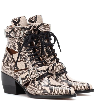 Chloé Rylee Python Print Leather Lace Up Buckle 靴子 In Neutrals