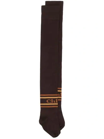 Chloé Over The Knee Logo Socks In Brown