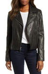 ANDREW MARC WASHED NAPPA LEATHER MOTO JACKET,AW8A1040