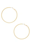 CAM LARGE HOOPS,E038