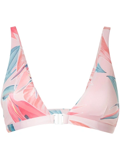 Duskii Manhattan Floral Bikini Top In Pink