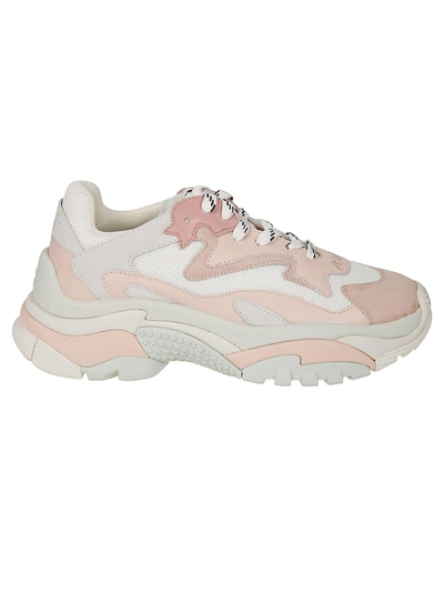 Ash Addict Trainers In Pink