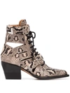 Chloé Rylee Cutout Snake-effect Leather Ankle Boots In Neutrals