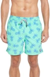 Tom & Teddy Pineapple Print Swim Trunks In Jade Green