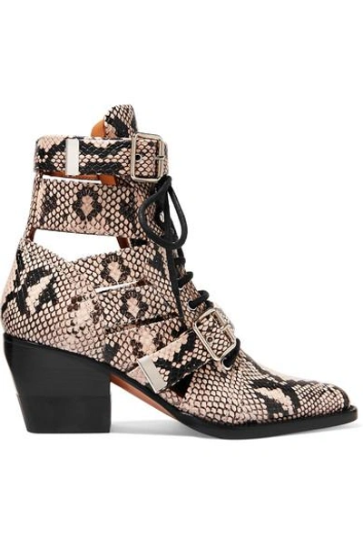 Chloé Rylee Cutout Snake-effect Leather Ankle Boots In Neutrals