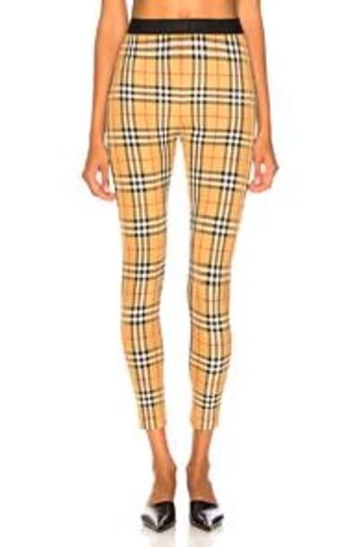 Burberry Belvoir Legging In Antique Yellow Check