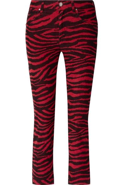 Isabel Marant Étoile Apolo Cropped Zebra-print Corduroy Skinny Trousers In Red