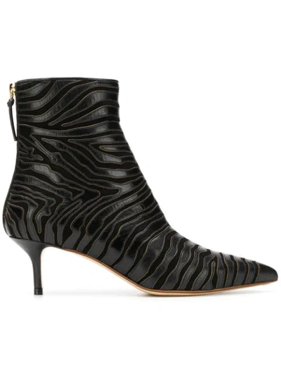 Francesco Russo Pointed Toe Ankle Boots In Black
