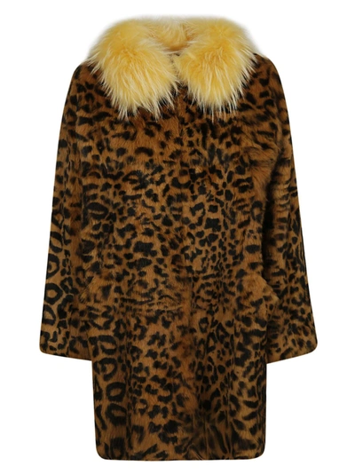 Alessandra Chamonix Charlotte Leopard Coat In Brown/black