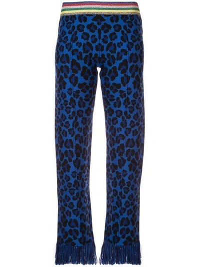 Alanui Leopard Jacquard Wool Knit Pants In Blue