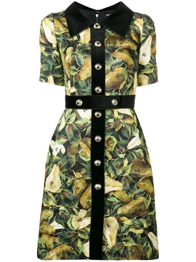 Dolce & Gabbana Short-sleeve Pear-print Brocade A-line Dress W/ Velvet In Multi-colored