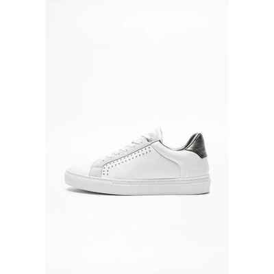 Zadig & Voltaire Zv1747 In White