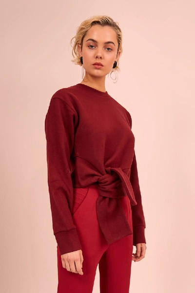 C/meo Collective Confidently Jumper In Berry