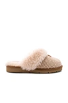 Ugg Slippers Cozy Knit  Cotton Logo Pale Pink In Cream