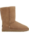 Ugg Short Boots In Brown
