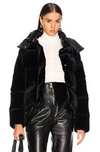 MONCLER MONCLER CAILLE VELVET JACKET IN BLACK