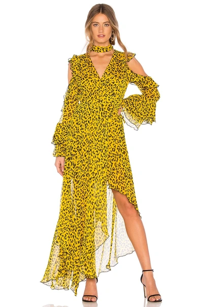 Diane Von Furstenberg Ruffled Leopard-print Silk-georgette Wrap Maxi Dress In Heyford Goldenrod