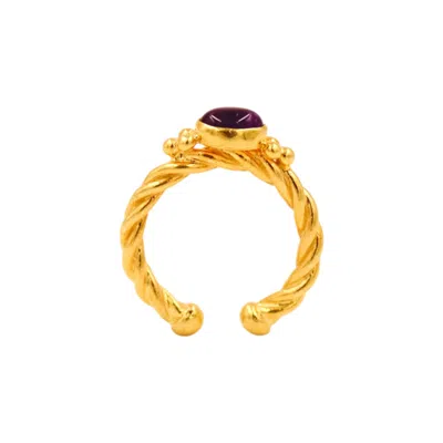1610istanbul Women's Gold Harem Amethyst Ring