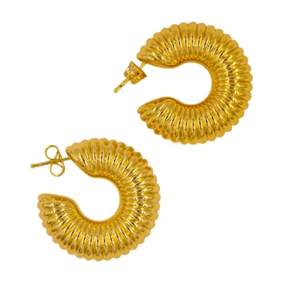 1610istanbul Women's Gold Istanbulite Hoop Earrings