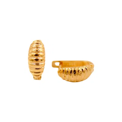 1610istanbul Women's Gold Marine Seashell Earrings