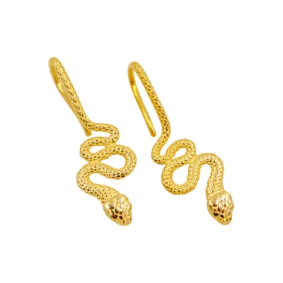 1610istanbul Women's Gold Medusa Snake Earrings