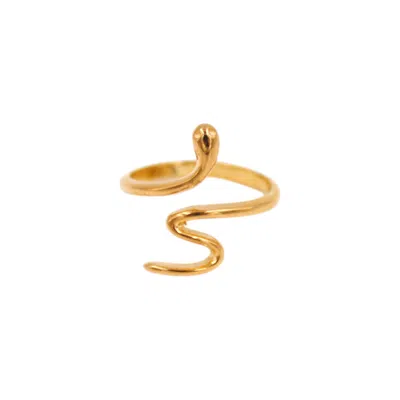 1610istanbul Women's Gold Medusa Snake Minimal Ring