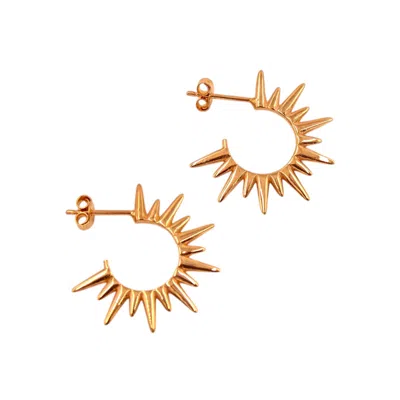 1610istanbul Women's Rose Gold Byzantine Sundial Earrings
