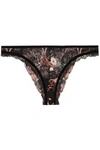 LA PERLA WOMAN HAMPTON COURT VELVET-TRIMMED EMBROIDERED LEAVERS LACE LOW-RISE BRIEFS BLACK,GB 1016843419981605