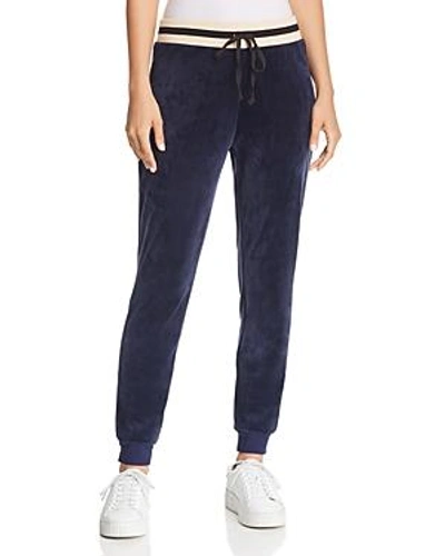 Juicy Couture Black Label Luxe Velour Sweatpants In Royal Navy