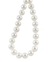 LAGOS LUNA 8-8.5MM PEARL NECKLACE, 18"L,PROD179380312