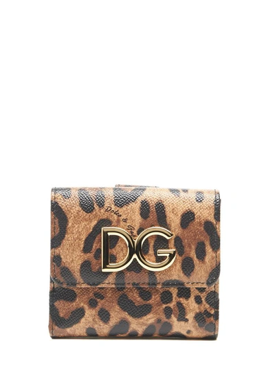 Dolce & Gabbana Leopard Print Small Leather Wallet In Brown