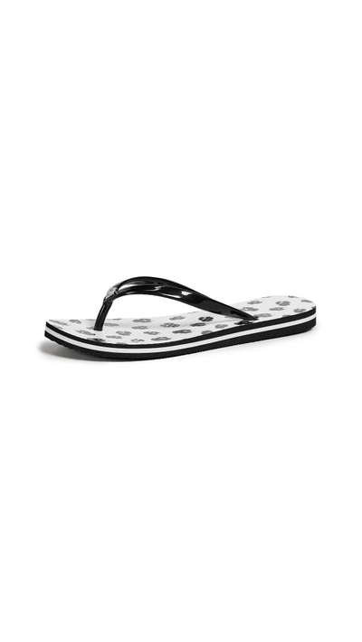 Alice And Olivia Eva Flip Flops In White/black