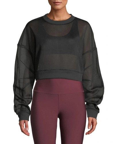 Alo Yoga Row Mesh Sheer Cropped Pullover Sweatshirt, Black