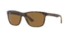 Ray Ban Sunglasses Man Rb4181 - Light Havana Frame Brown Lenses Polarized 57-16 In Polarized Brown Classic B-15