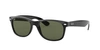 Ray Ban Ray In Green Classic G-15