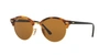 Ray Ban Ray In Brown Classic B-15