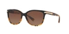 Coach Cat-eye Sunglasses W/ Logo Plate Temples In Brown Gradient Polar