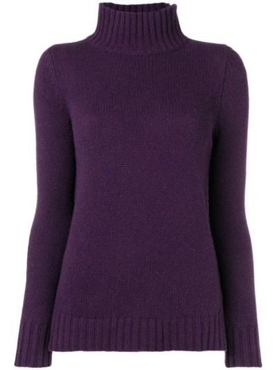 Aragona Turtle Neck Jumper In 164 Viola