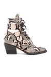 CHLOÉ RYLEE PYTHON PRINT LEATHER LACE UP BUCKLE BOOTS,CLOE-WZ240