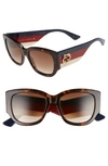 Gucci Tortoiseshell Cat-eye Sunglasses In Havana