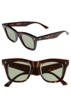 CELINE 46MM SQUARE SUNGLASSES - DARK HAVANA,CL40057IW4652N