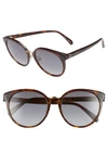 GIVENCHY 55MM SPECIAL FIT GRADIENT SUNGLASSES,GV7115FS