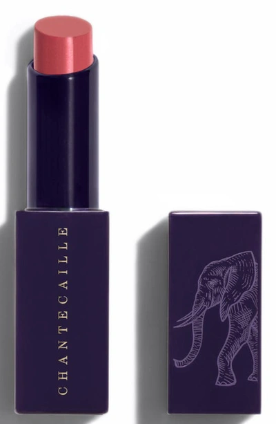 Chantecaille - Lip Veil - No. Baobab 2.5g In N,a