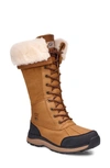 Ugg Adirondack Iii Waterproof Tall Boot In Chestnut